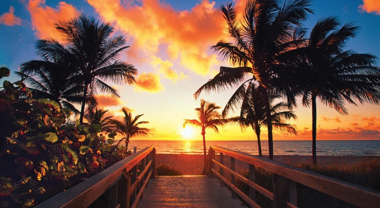 Sunset over a palm-lined boardwalk with vivid orange sky and reflections on the water
