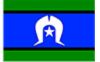 Blue, white, and green flag with a white star and mosque silhouette centered on a blue field.