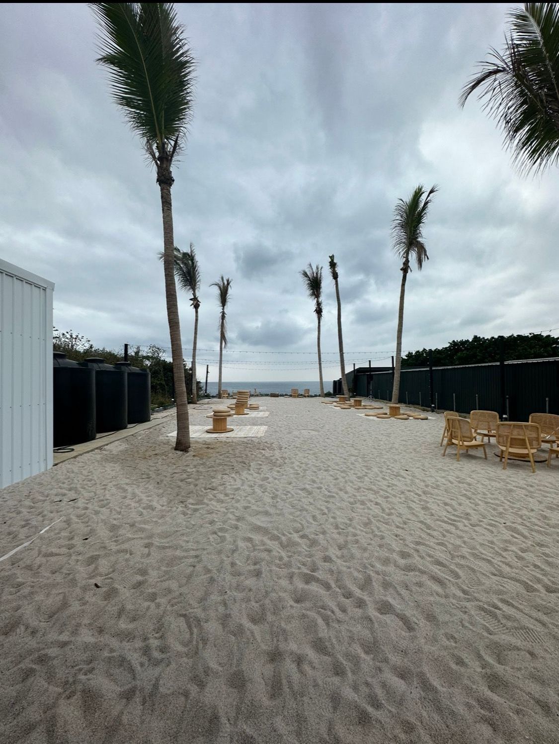 A beach with palm trees and chairs on a cloudy day