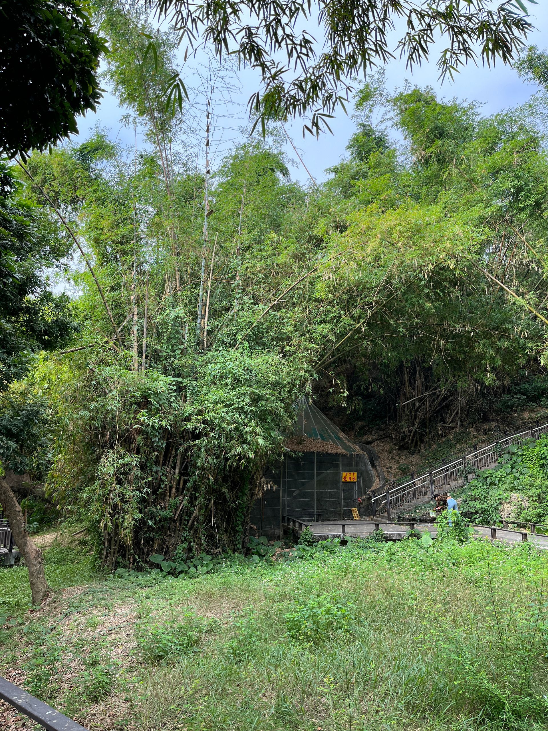 There is a building in the middle of a forest surrounded by trees.