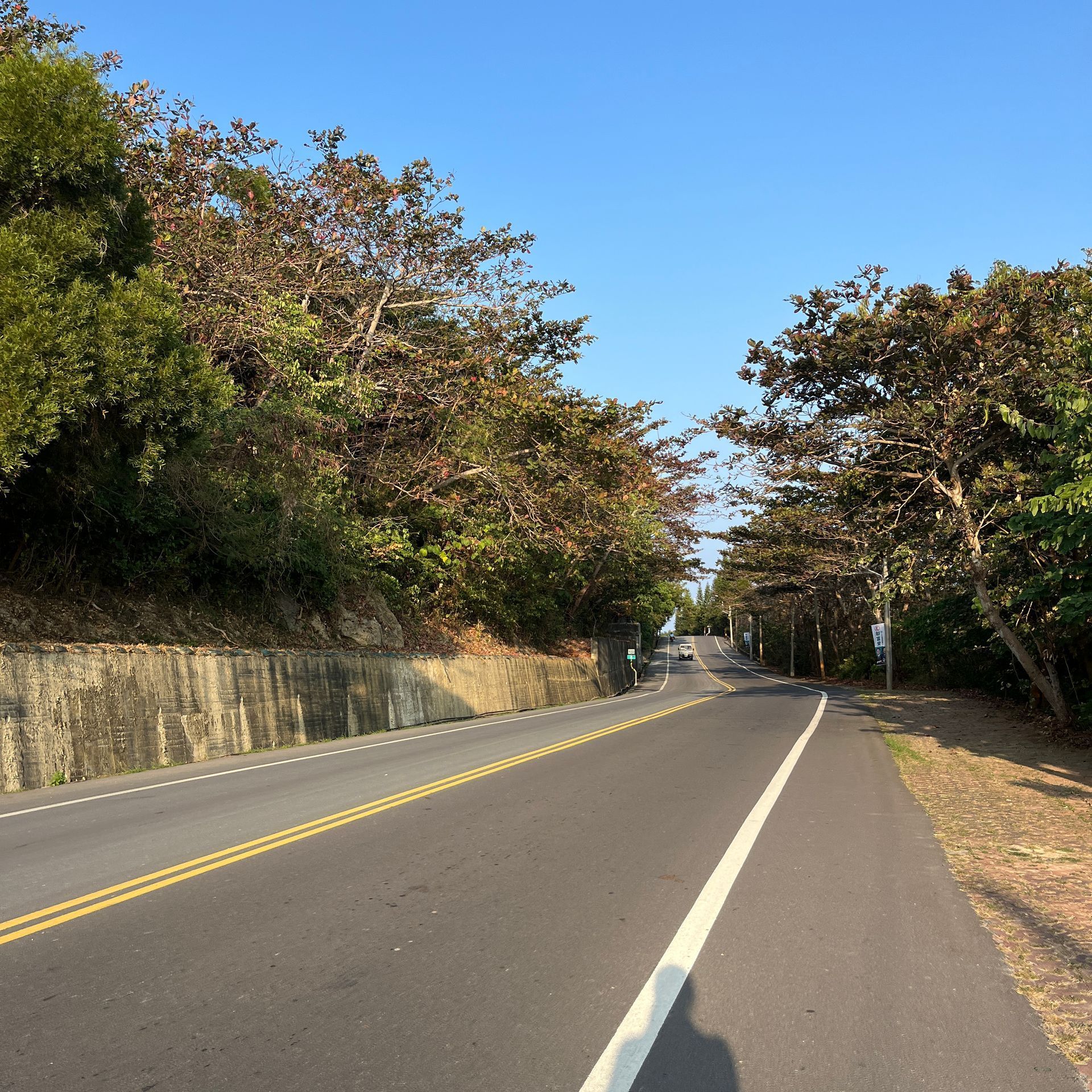 A road with trees on both sides and a blue sky