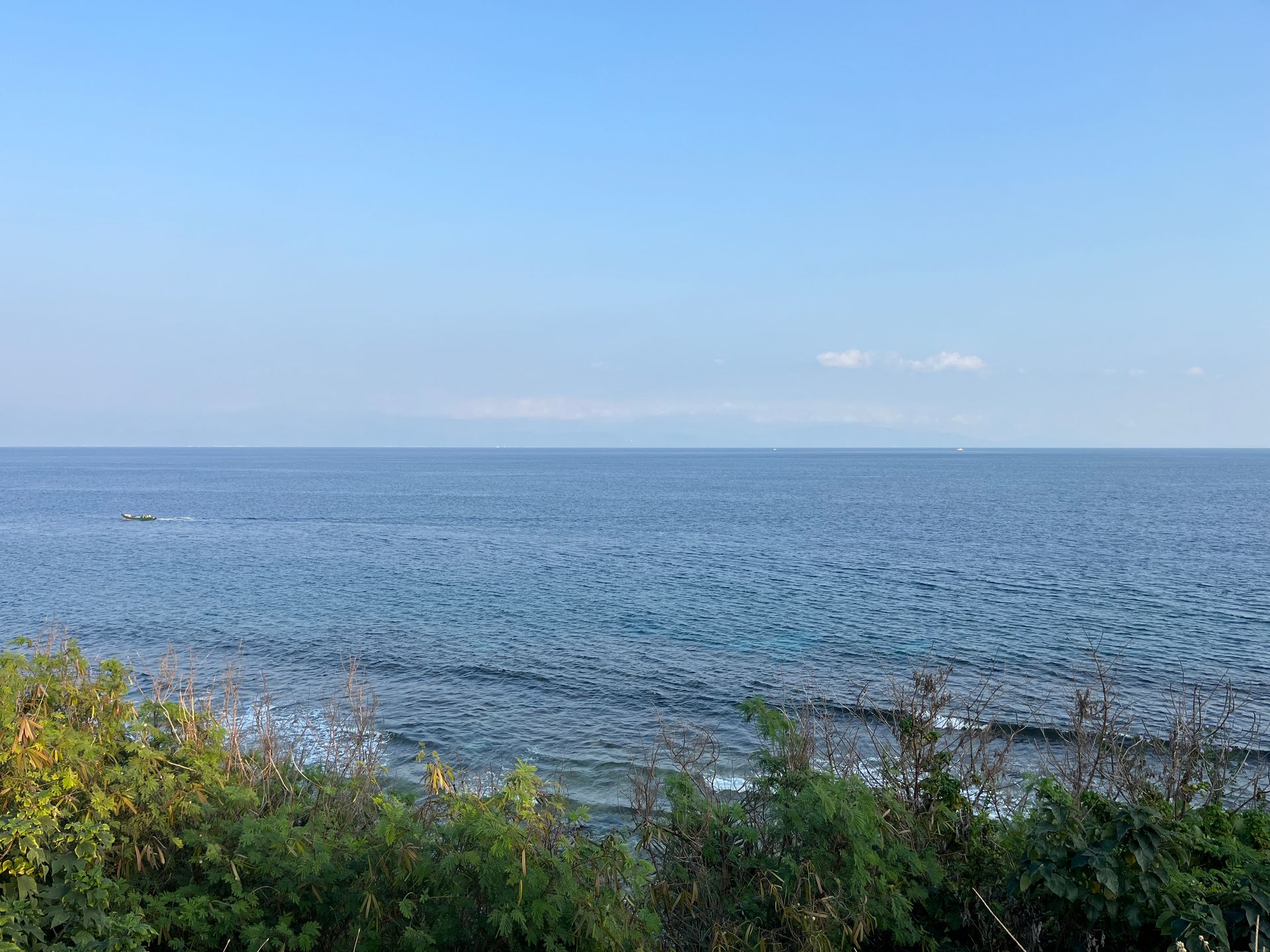 A view of the ocean from a cliff with trees in the foreground.