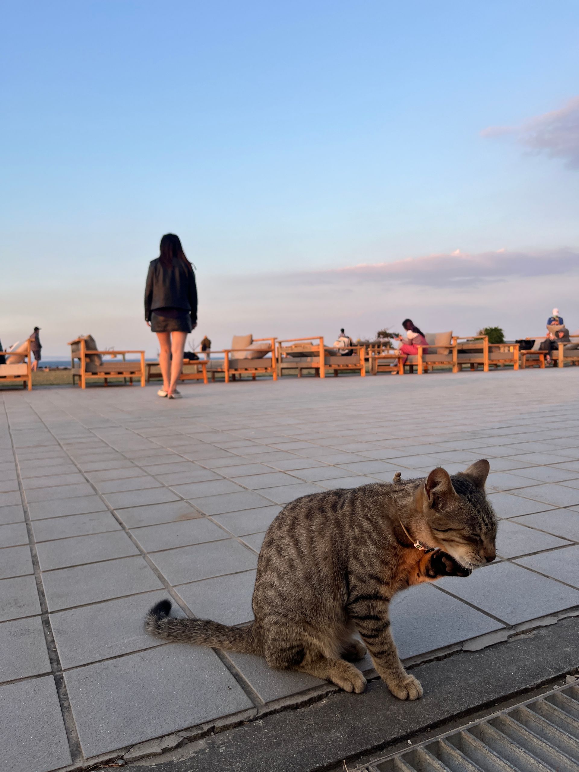 A cat sitting on a sidewalk with a woman walking in the background