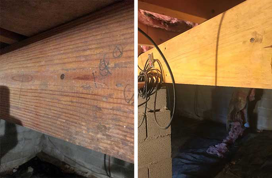 before and after mold removal