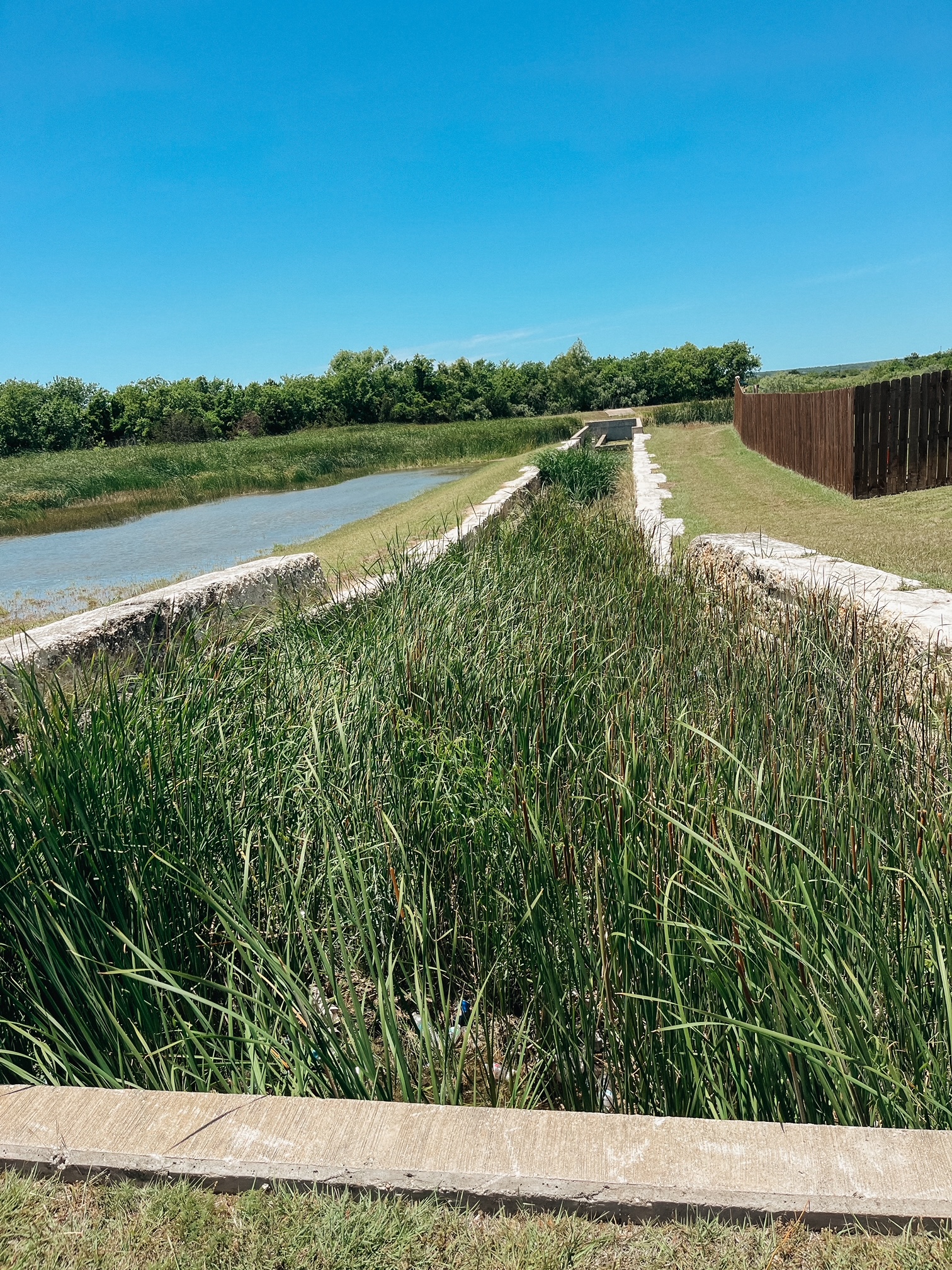 Landscape Designer | Jarrell, Texas | Landscape Designs and Lawn Care