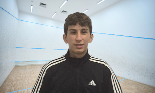 Henrique Brayner