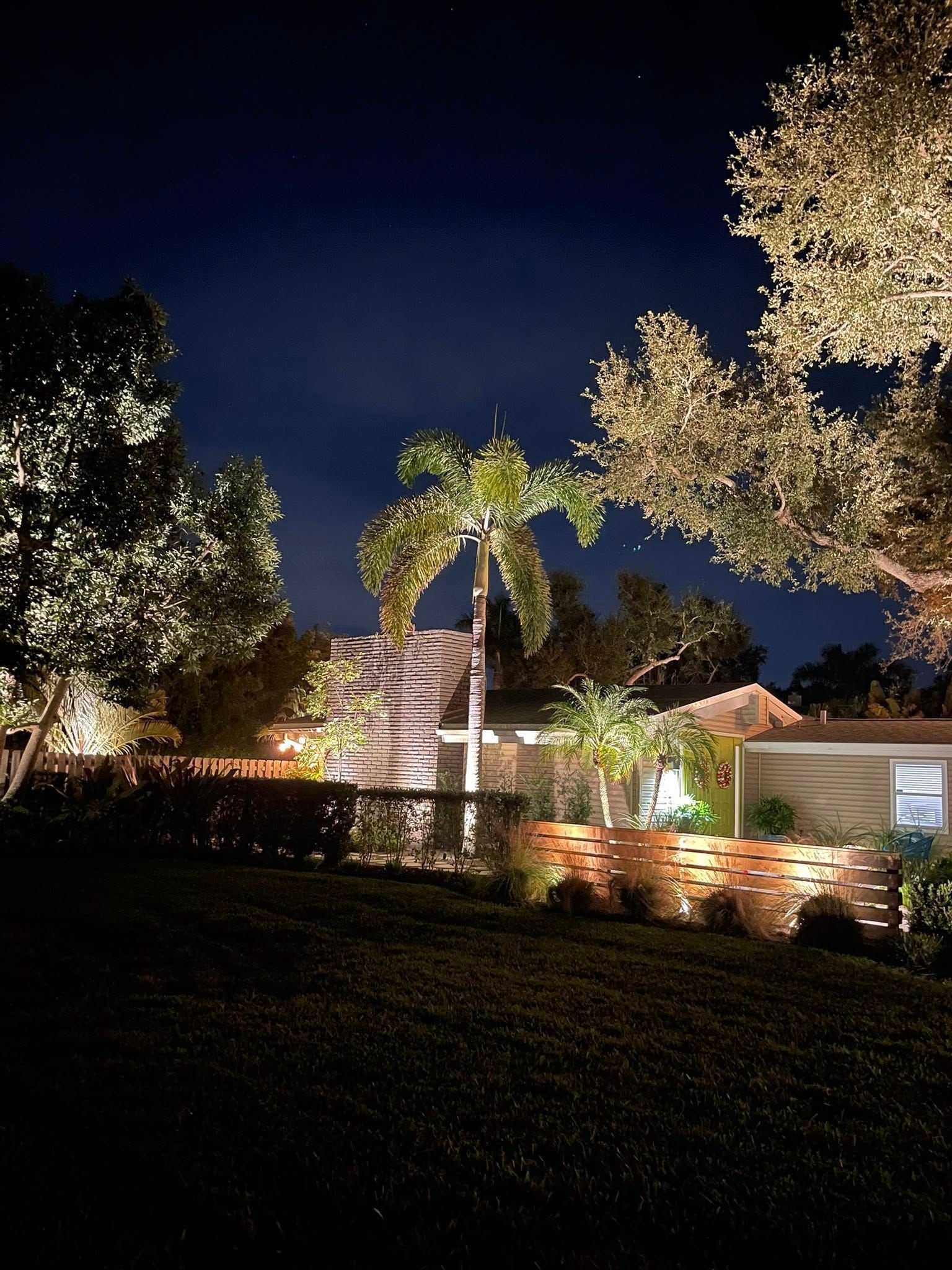 Nighttime garden with lit palm tree, stone waterfall, and illuminated landscaping under a dark blue sky