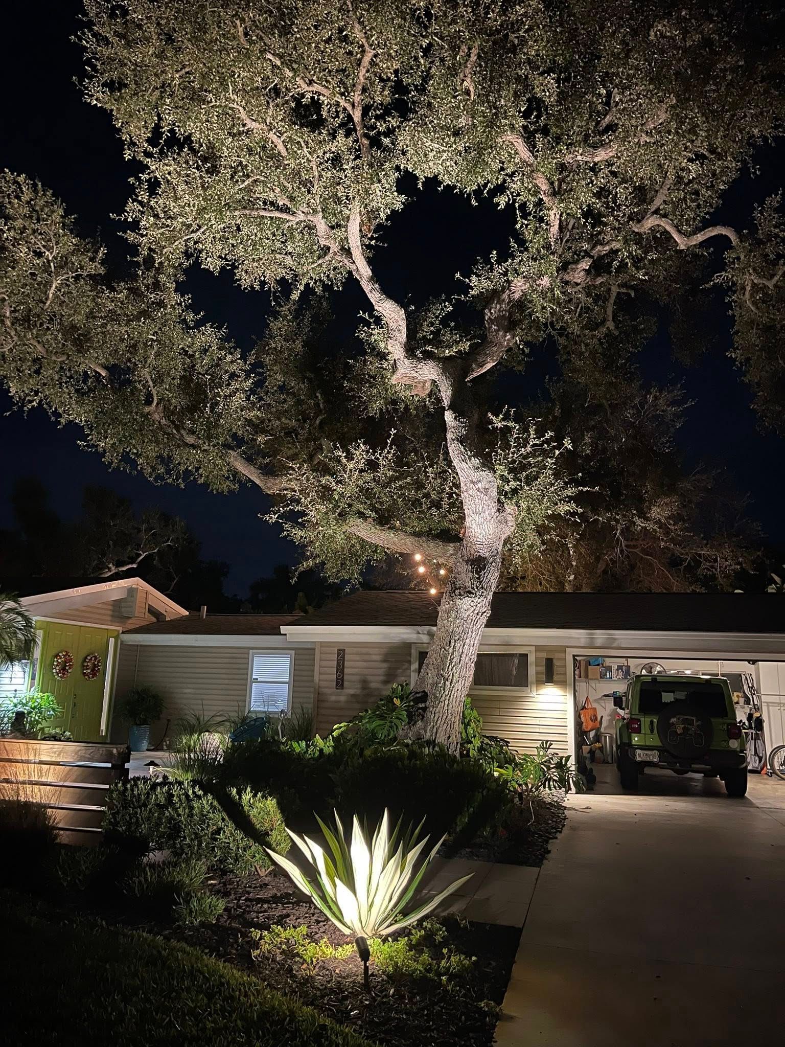 Nighttime view of a house with a large illuminated tree and lit front yard landscaping