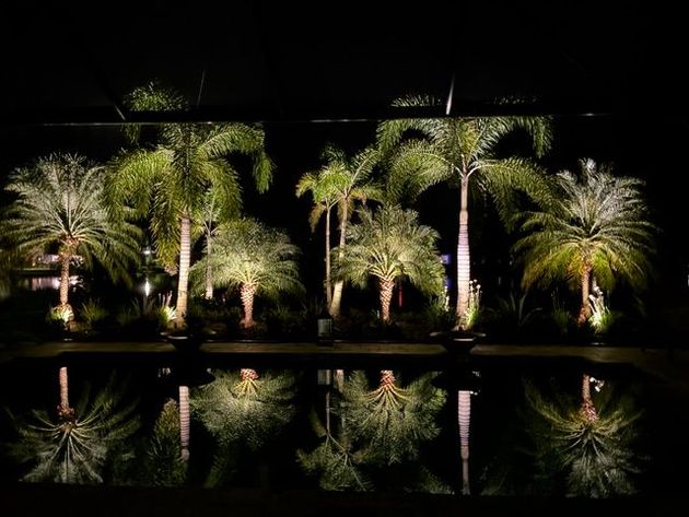 Garden Lighting