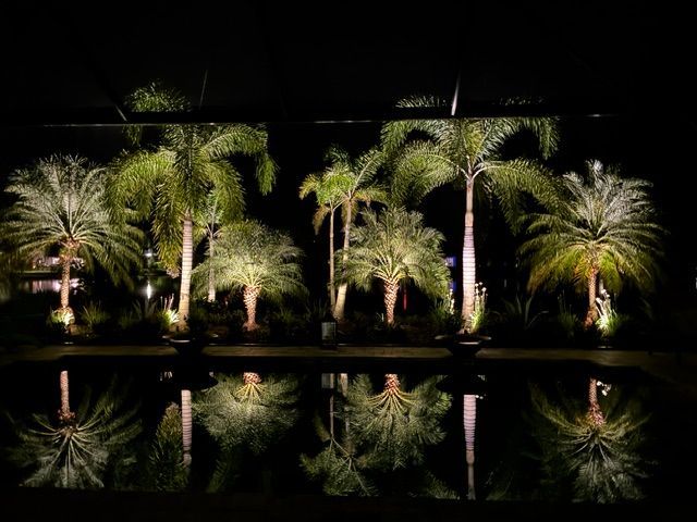 Full custom outdoor lighting design across an entire residential property at night