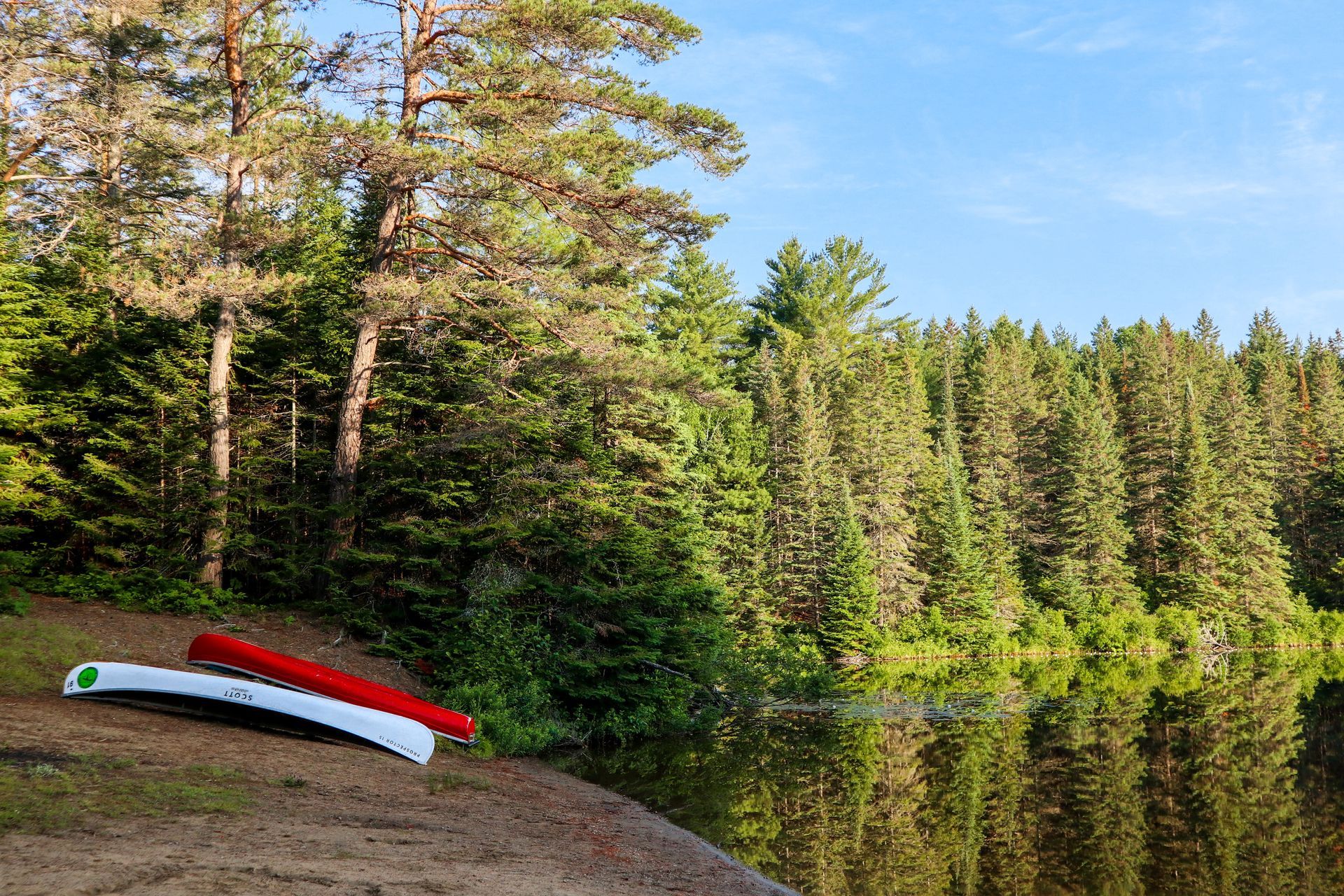 Two canoes are sitting on the shore of a lake surrounded by trees.