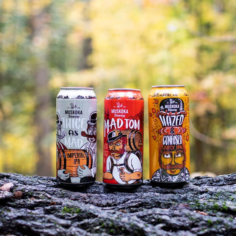 Three cans of beer are sitting on top of a log.