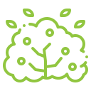 A green line drawing of a tree with leaves on a white background.