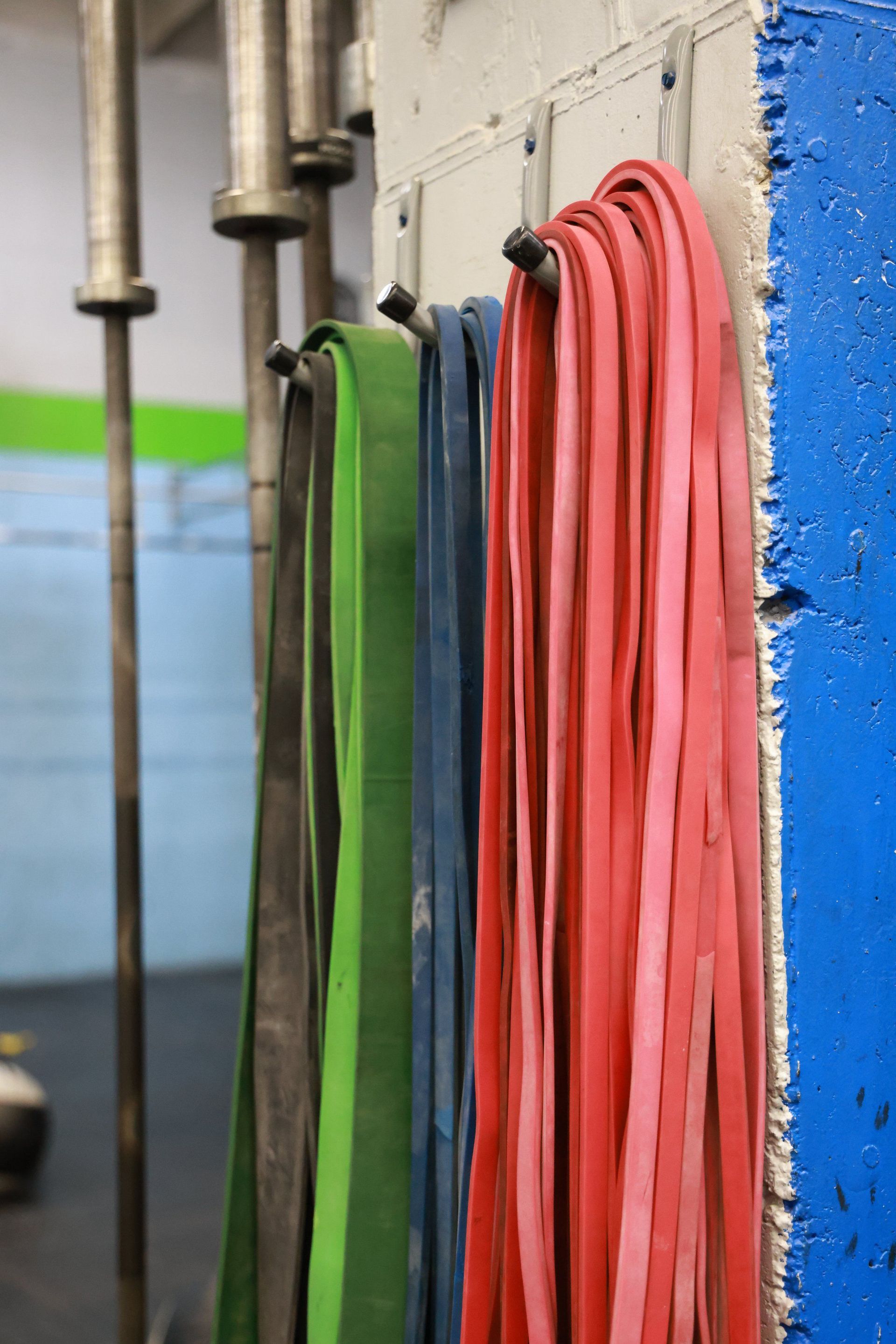 A bunch of resistance bands are hanging on a wall.