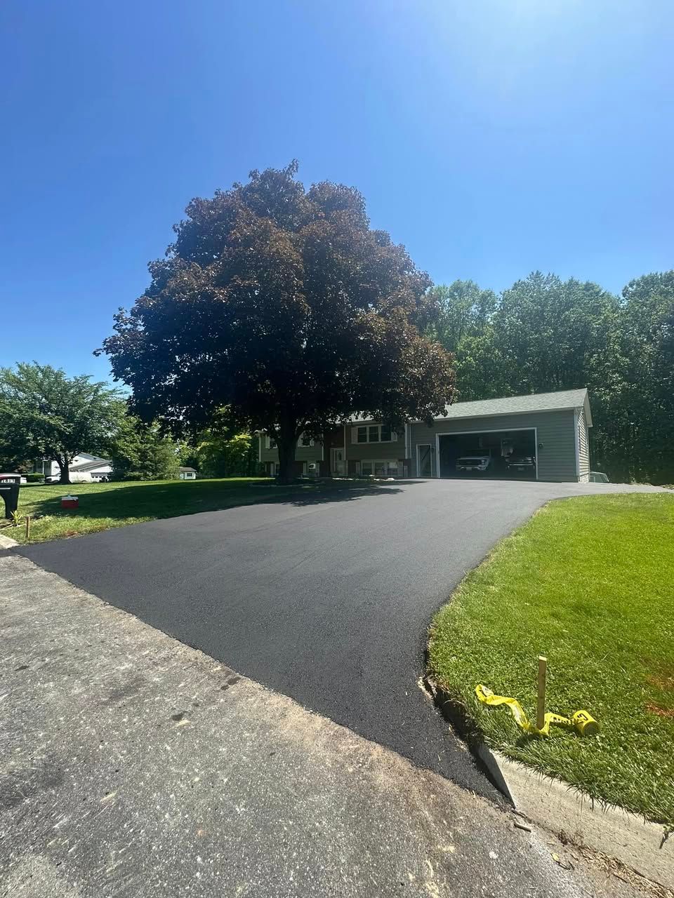A driveway leading to a house with a tree in the middle