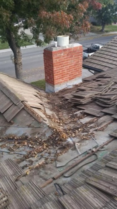 Fallen Dry Leaves — Patterson, CA — Quality Roofing Inc.