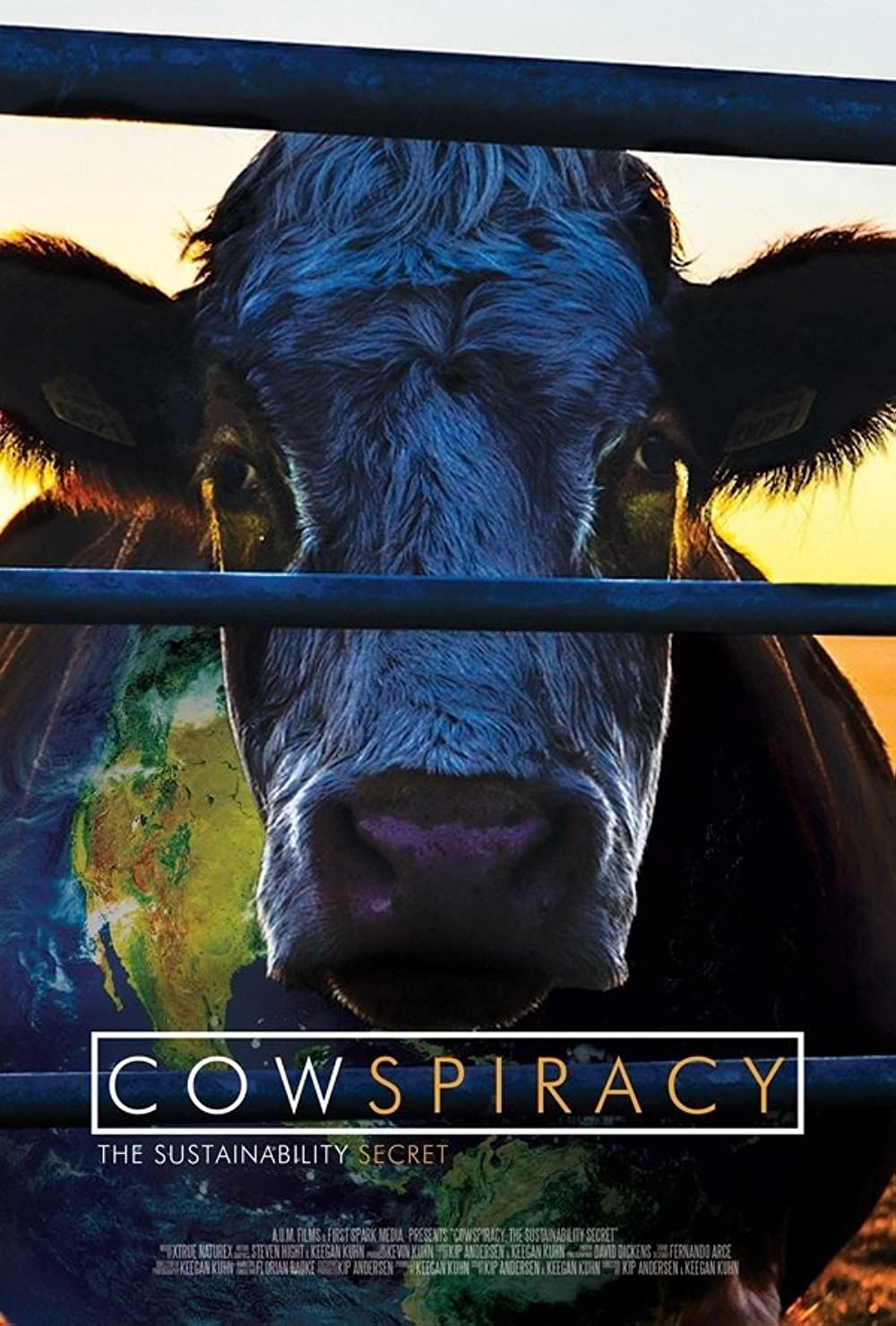 Cow's face framed by a fence, Earth map overlay, sunset backdrop,