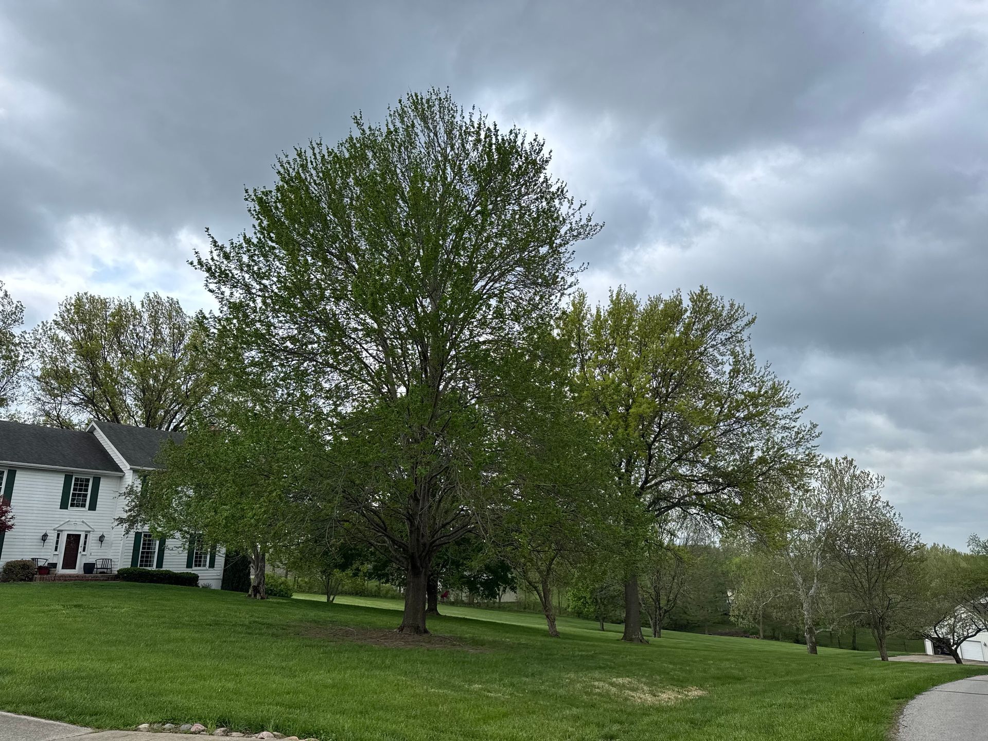 Sotrmy sky with a tree in the forefront and a white house