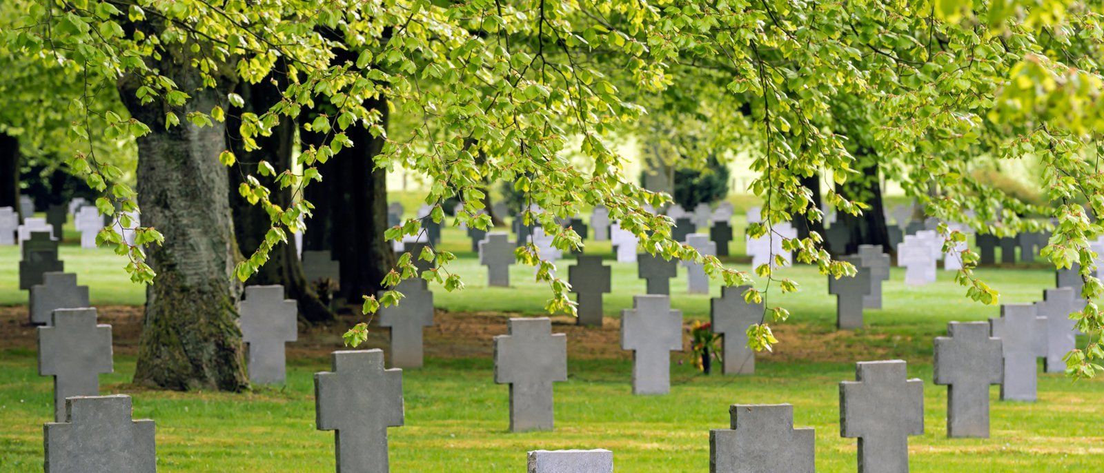 green burial headstones on cemetery lawn