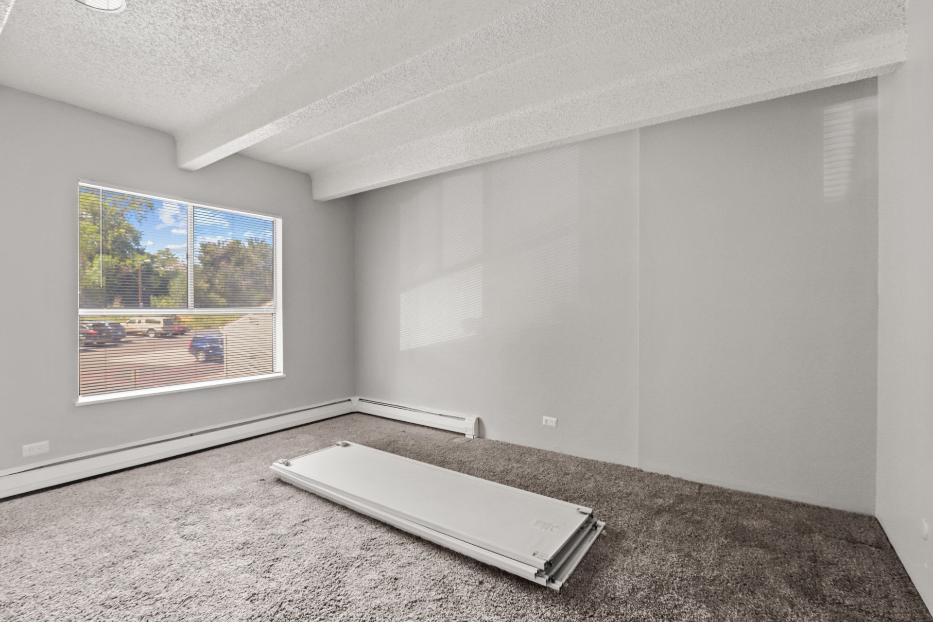 Empty carpeted room with a window, gray walls, and a mattress on the floor.