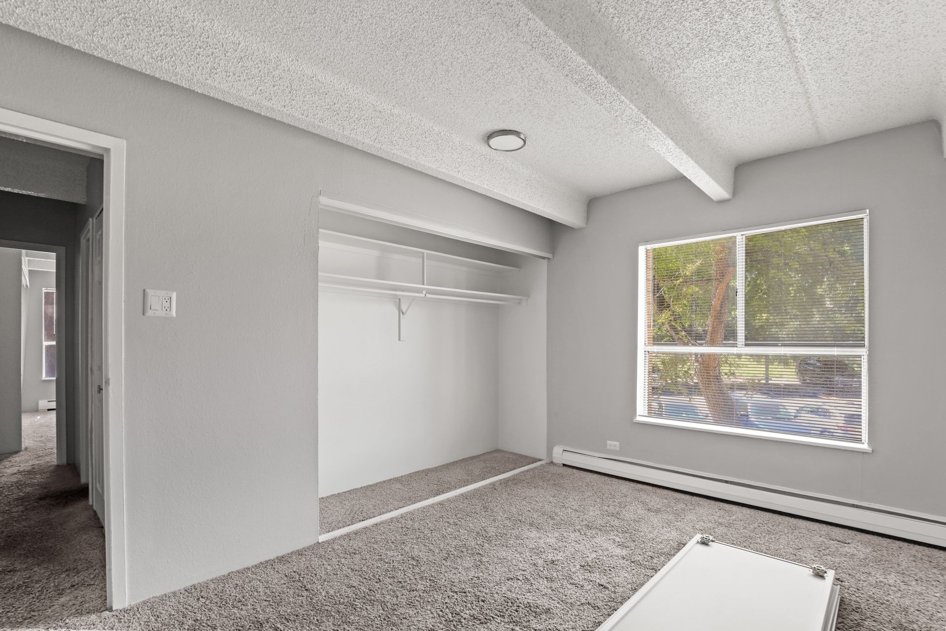 Empty gray bedroom with closet, carpeted floor, and window with blinds overlooking trees