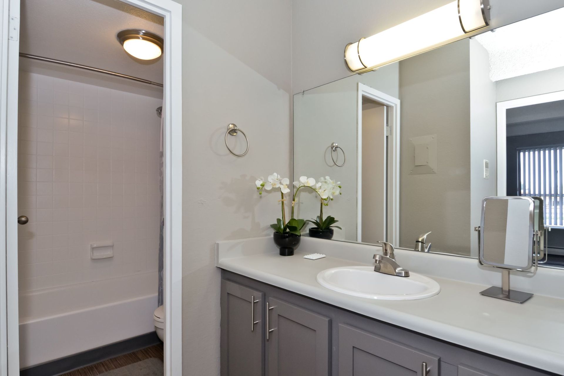 Bathroom vanity with mirror, sink, gray cabinets, and white orchids