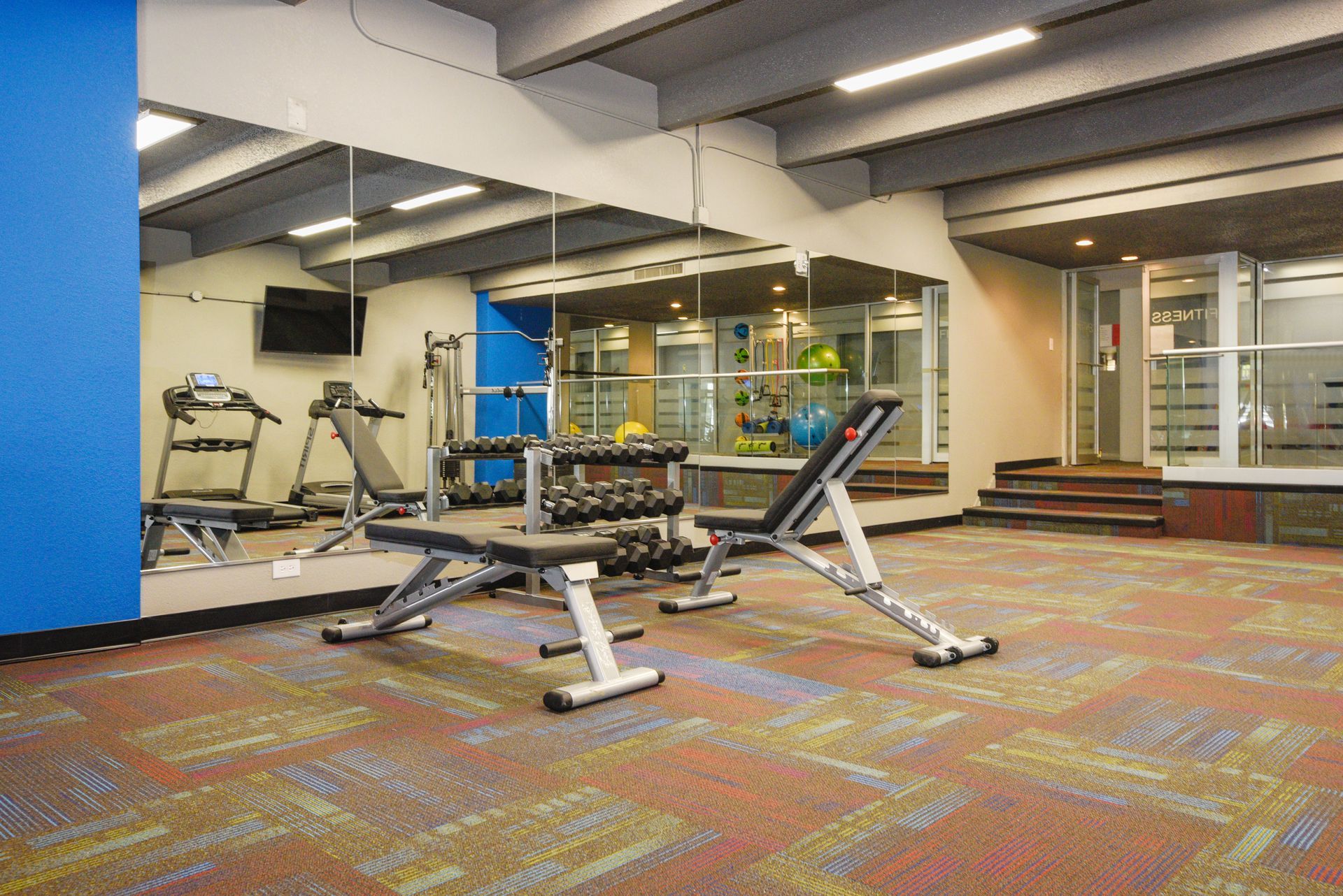 Modern gym with weight benches, machines, mirrors, and colorful carpet flooring