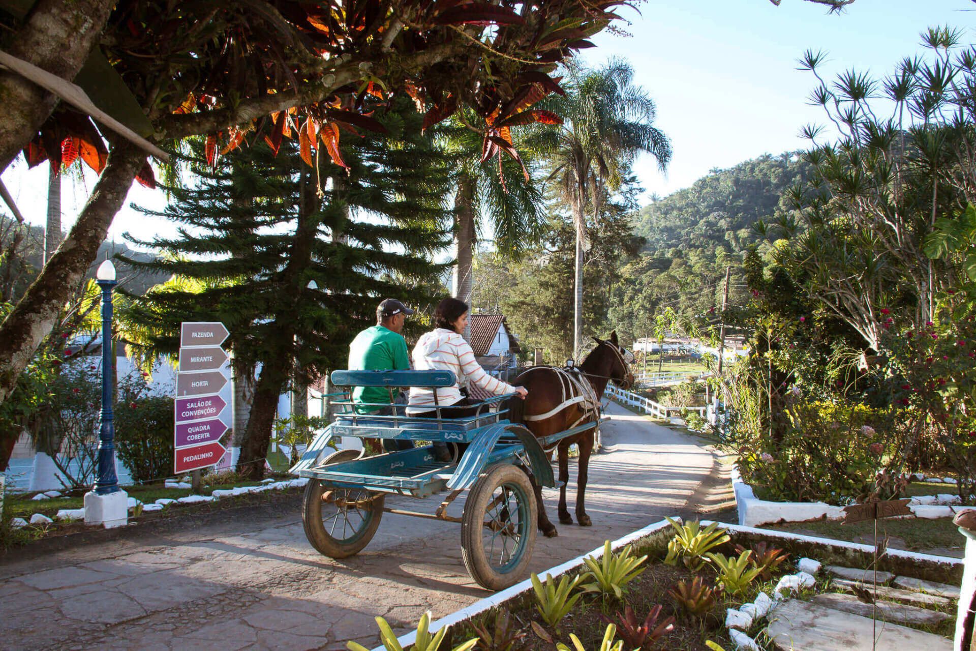 Passeio de charrete do Hotel Fazenda Santa Bárbara