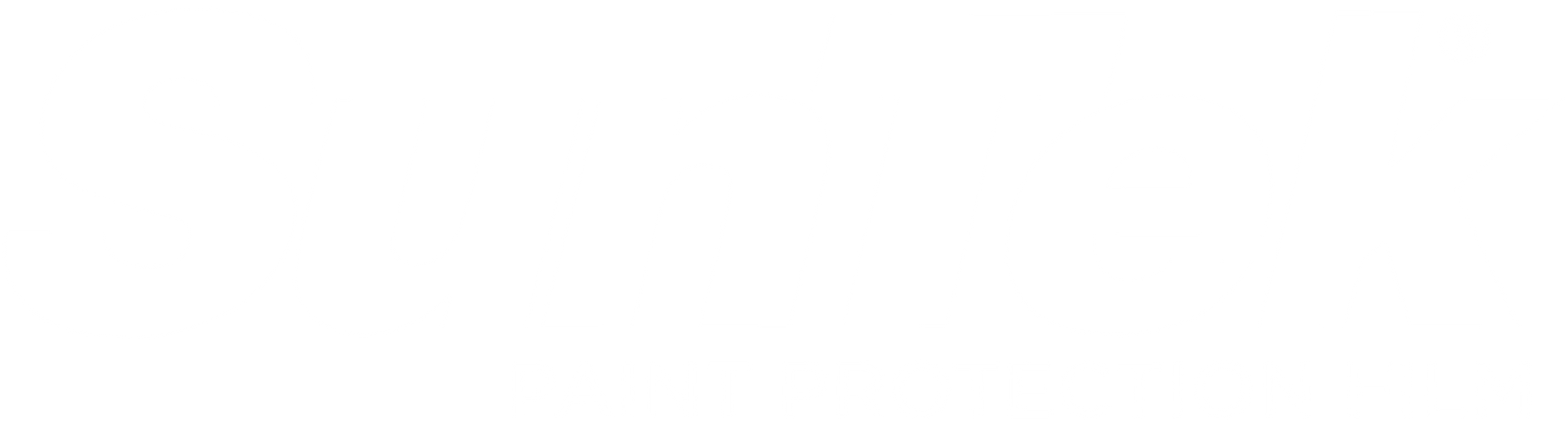 suntek paint protection film
