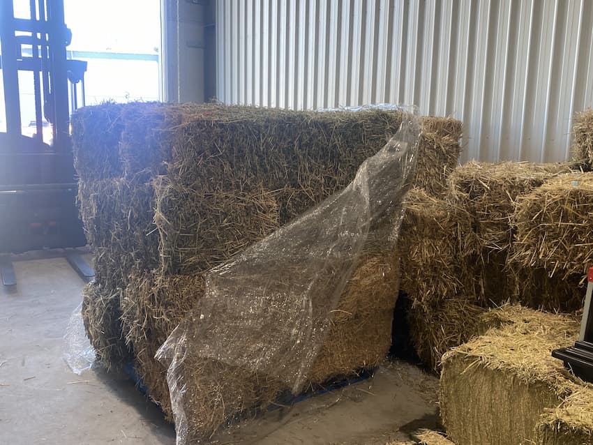 Wood Shaving - Farm & Animal Supplies In Hunter Valley, NSW