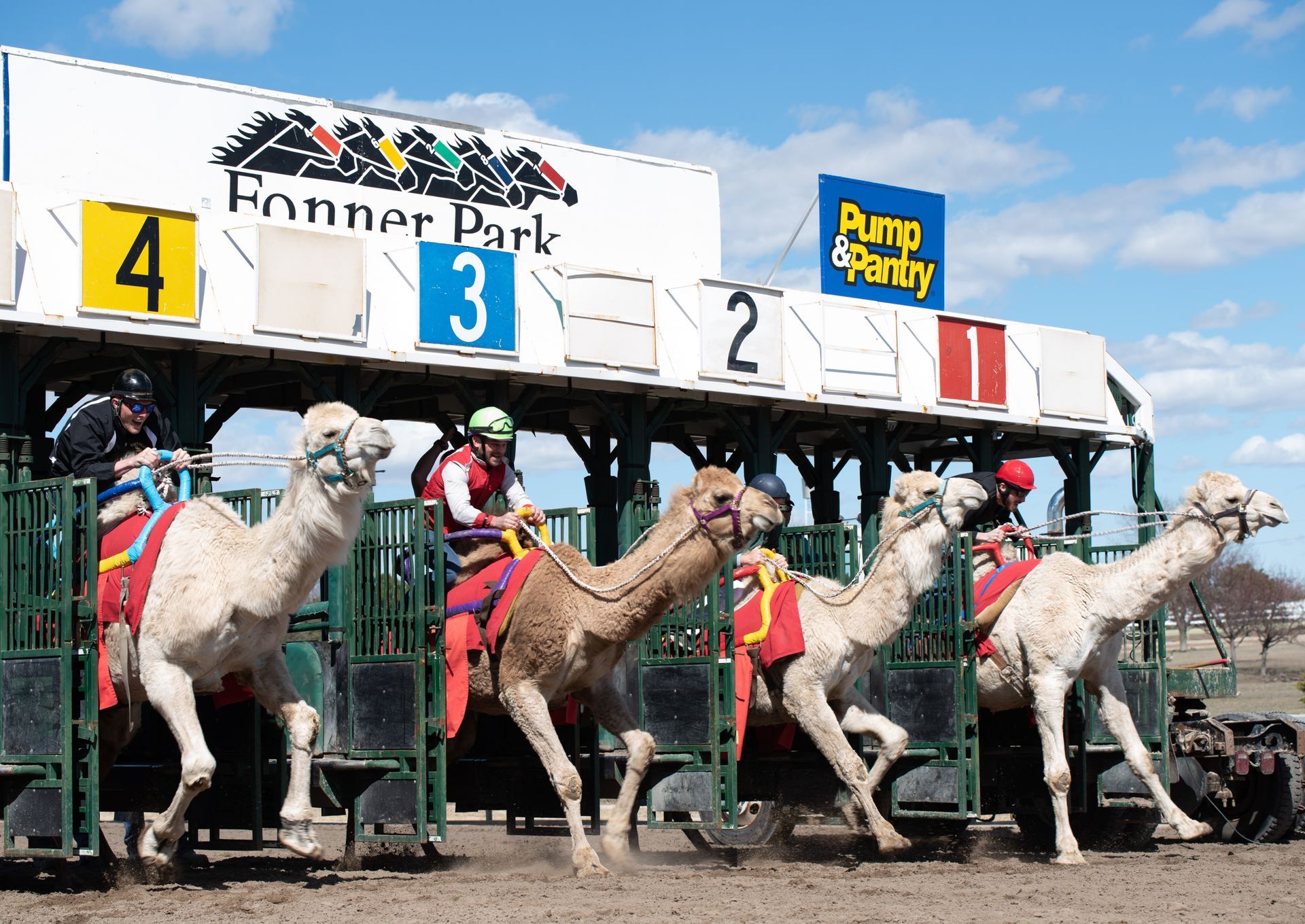 A group of camels are racing in front of a sign that says pump & party