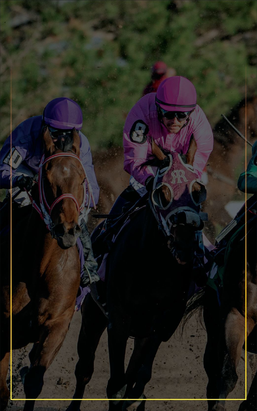 The Fonner Park Special Stakes