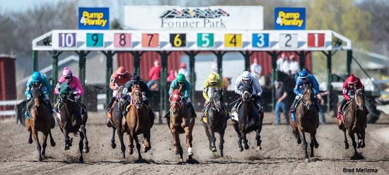 A group of horses are racing on a dirt track.