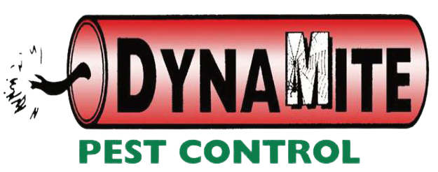 Dynamite Pest Control Dynamite Pest Control