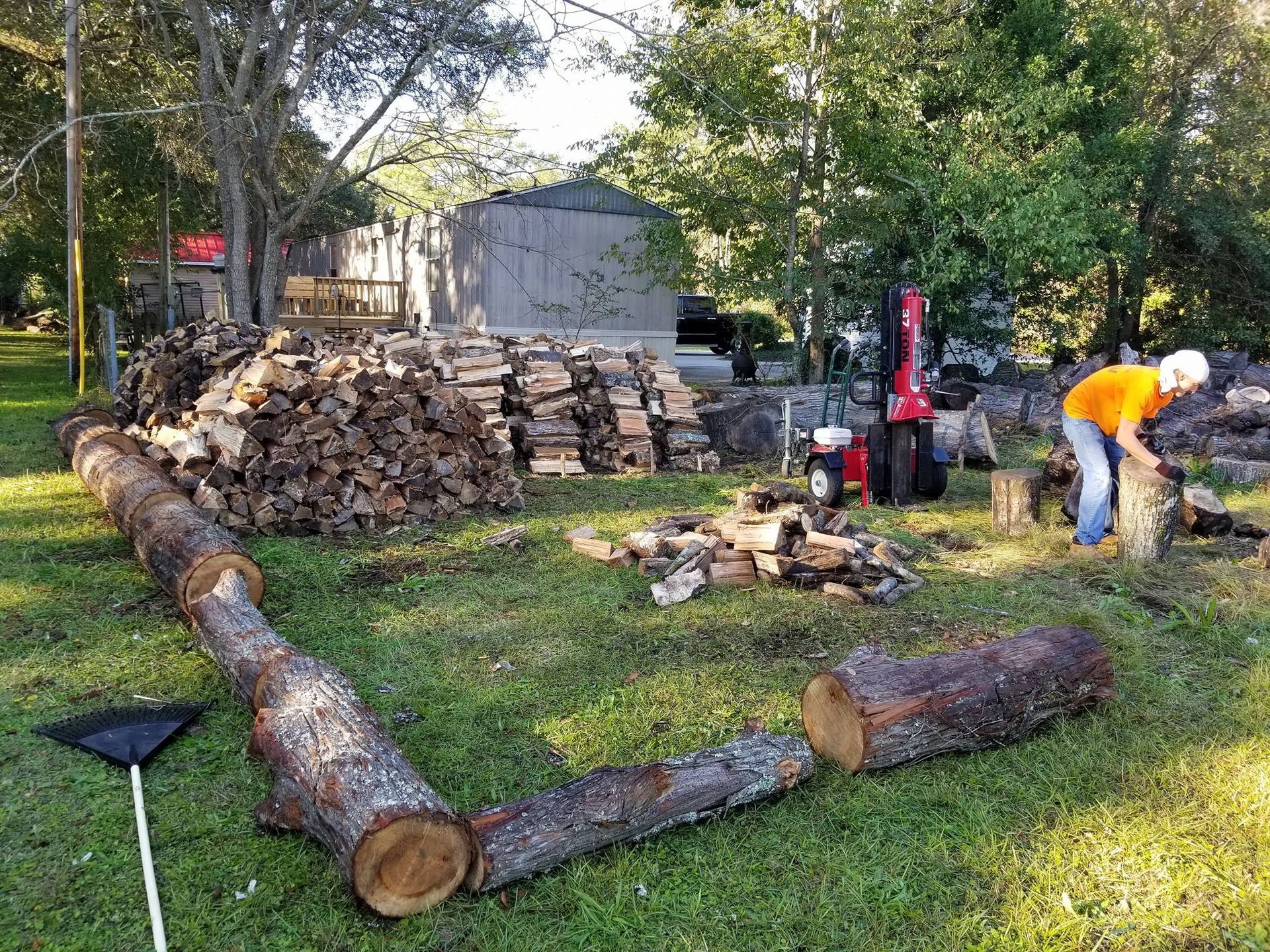 A man is cutting logs in a yard with a chainsaw.