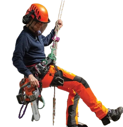 A man wearing a helmet and orange pants is holding a chainsaw