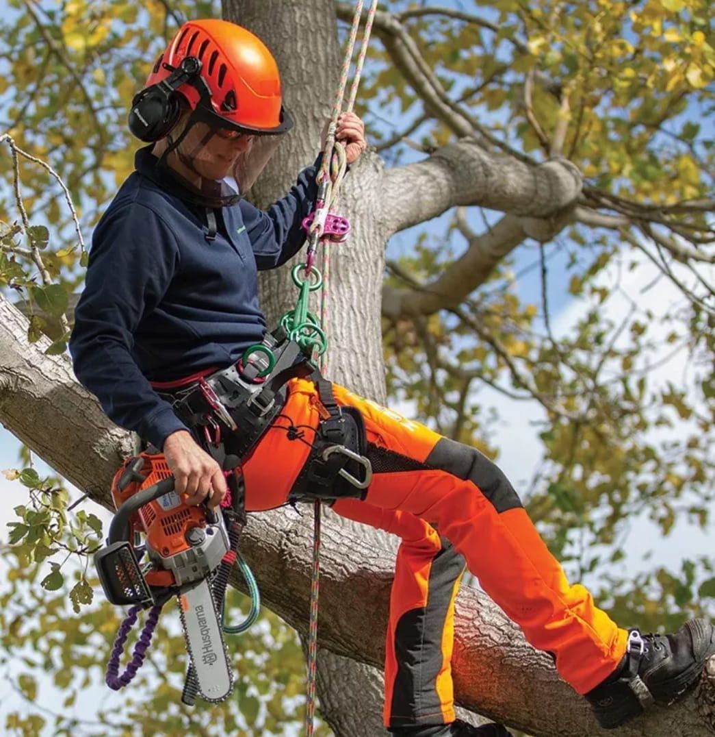 A man is sitting on a tree branch holding a chainsaw