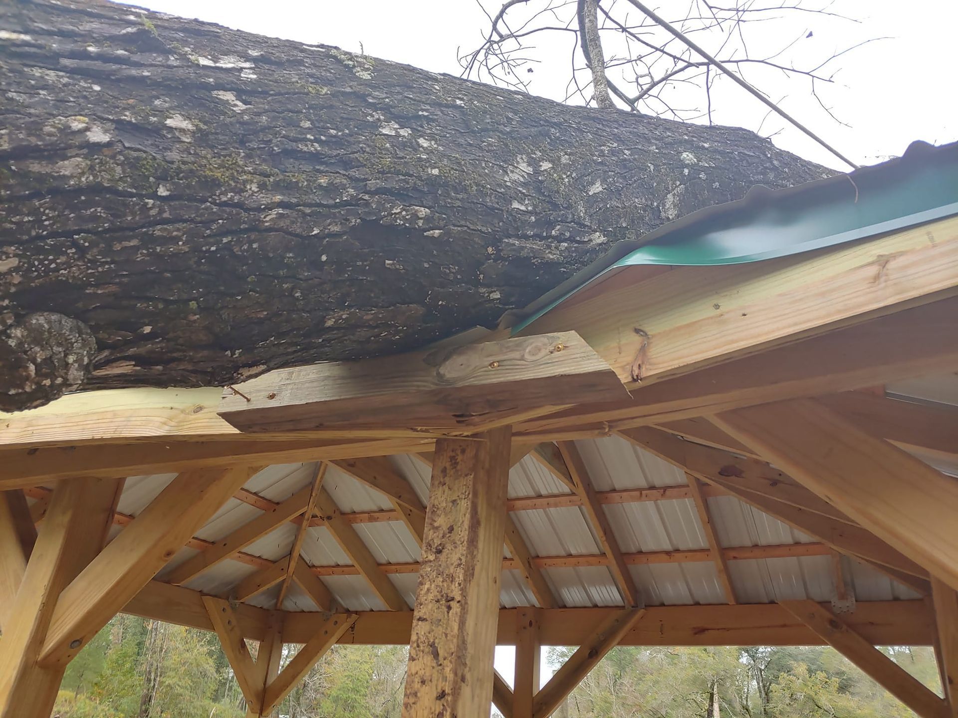 A large tree trunk is laying on top of a wooden structure