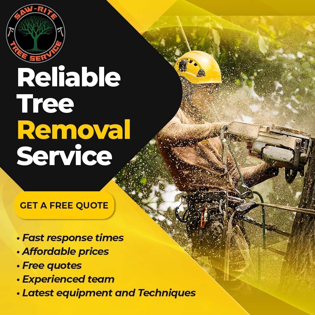 A man is cutting a tree with a chainsaw.