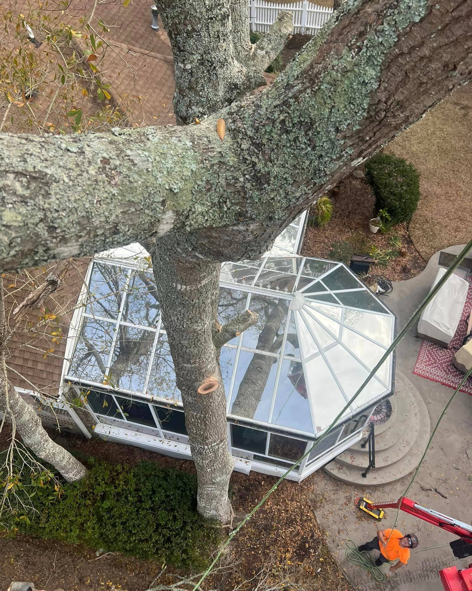 An aerial view of a tree being removed from a house.