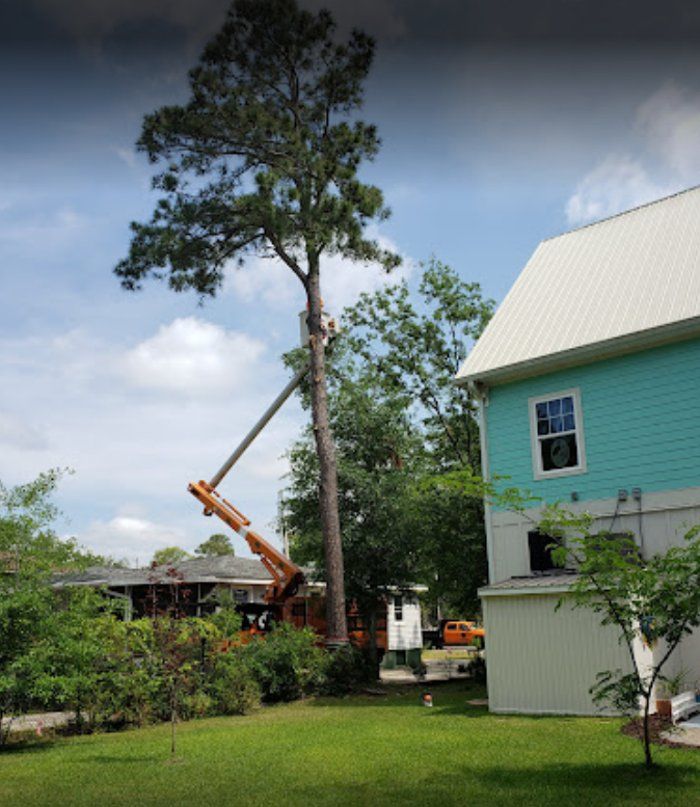 A crane is cutting down a tree in front of a house.