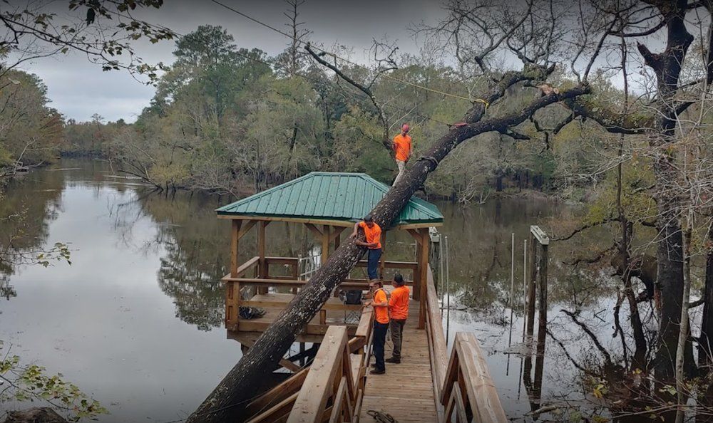 A group of people are standing on a dock next to a lake.