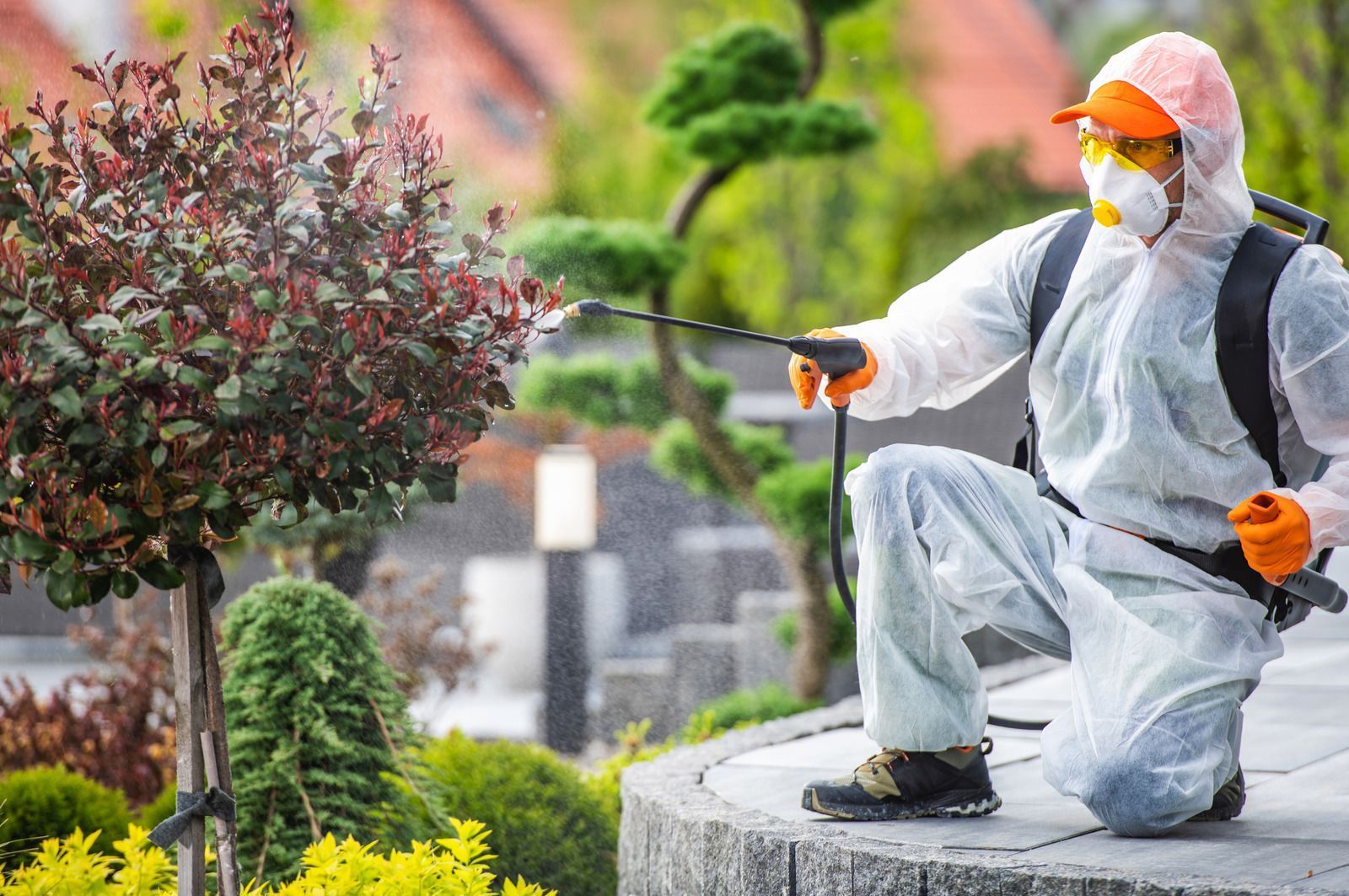A man in a protective suit is spraying plants in a garden.