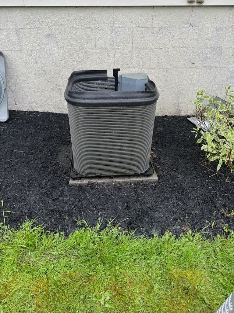 Black utility box against a stucco wall, with mulch and grass in the foreground.