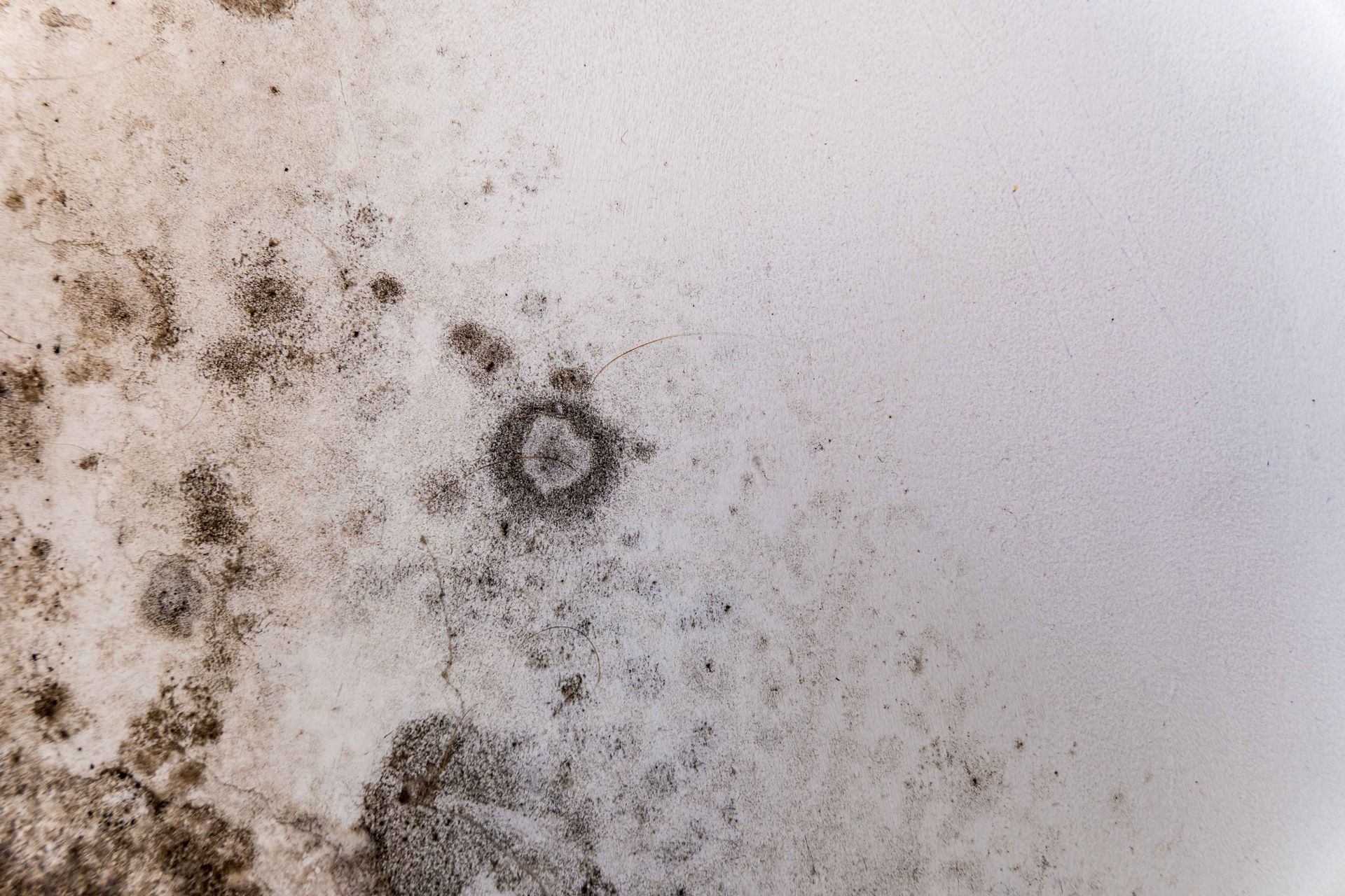 Mur blanc avec des taches et des moisissures noires éparses, dont une petite tache circulaire près du centre.