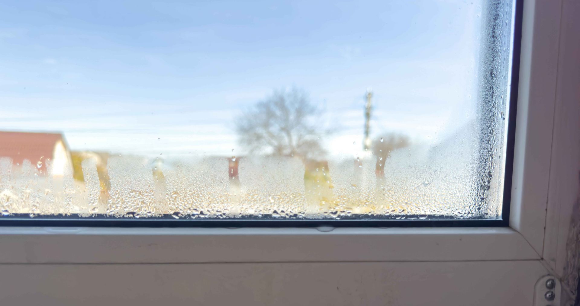 Condensation sur une vitre, masquant une scène extérieure floue avec un arbre, des maisons et un ciel bleu clair.