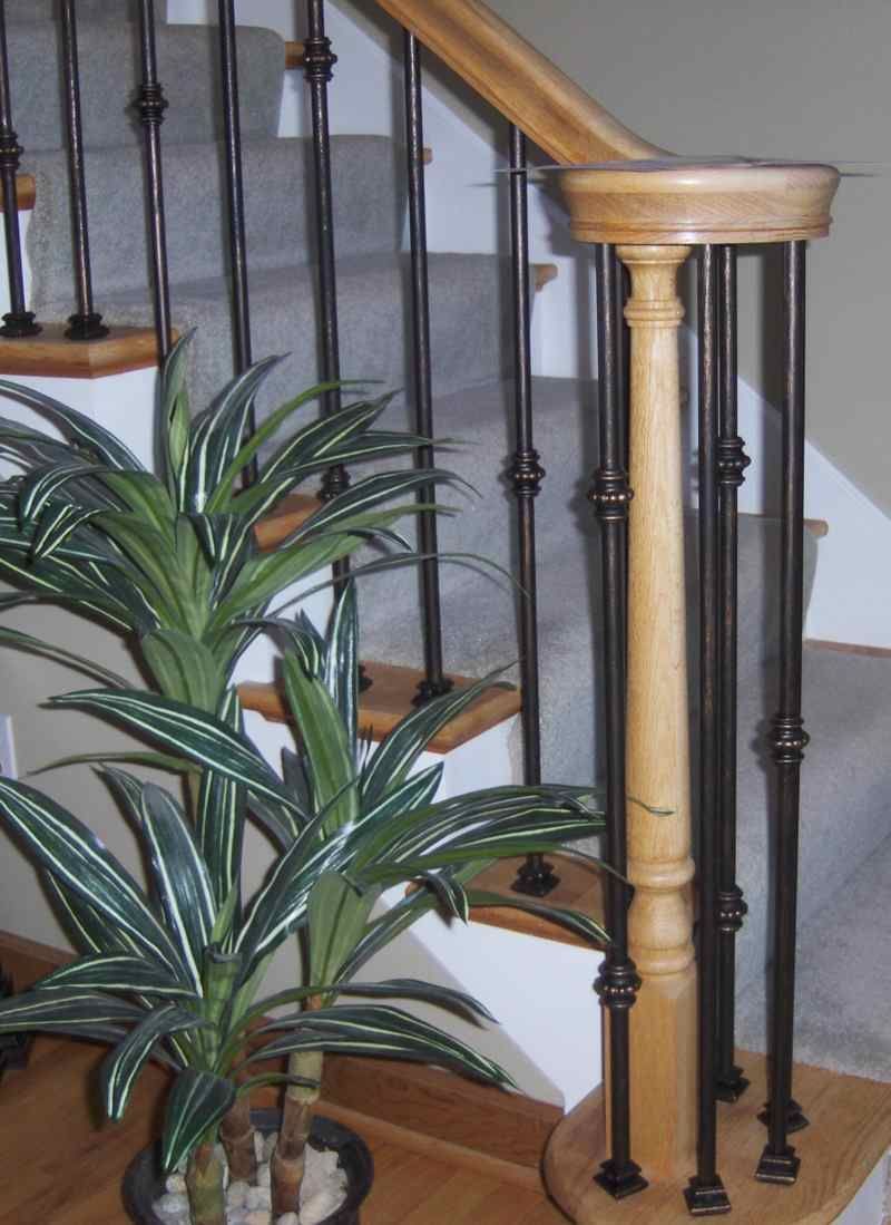 Indoor staircase with black metal balusters, wooden handrail, and a potted leafy plant nearby