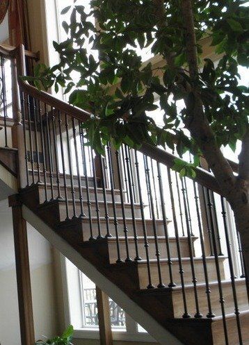 Staircase with dark metal railings beside a large tree and leafy branches outdoors