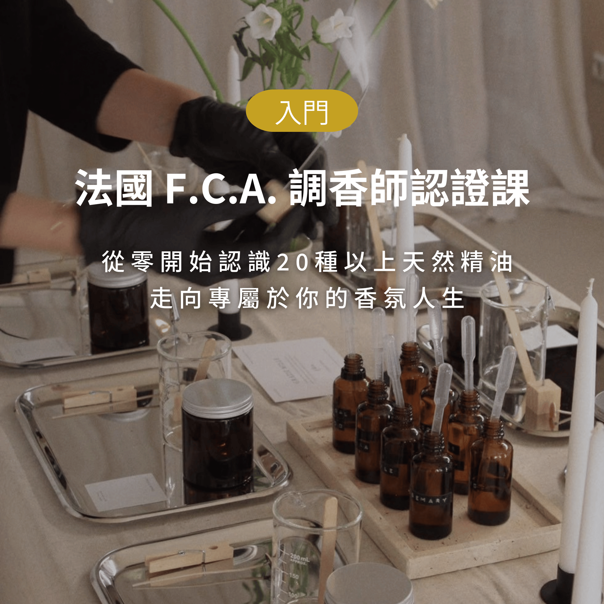 法國 F.C.A. 精油調香師入門證照課