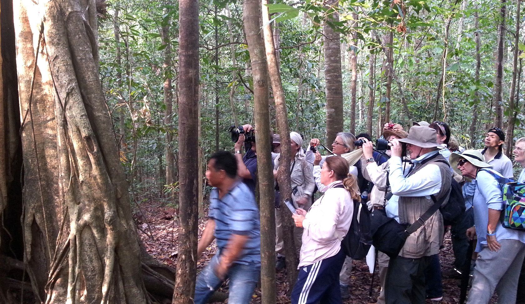 Group of hikers in a forest listening to a guide near a large tree trunk